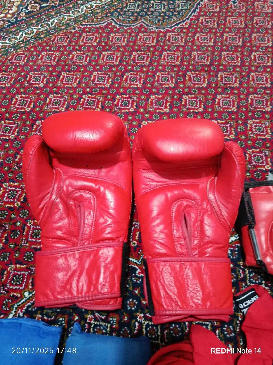 دسکش بوکس|تجهیزات ورزشی|کوهدشت, |دیوار