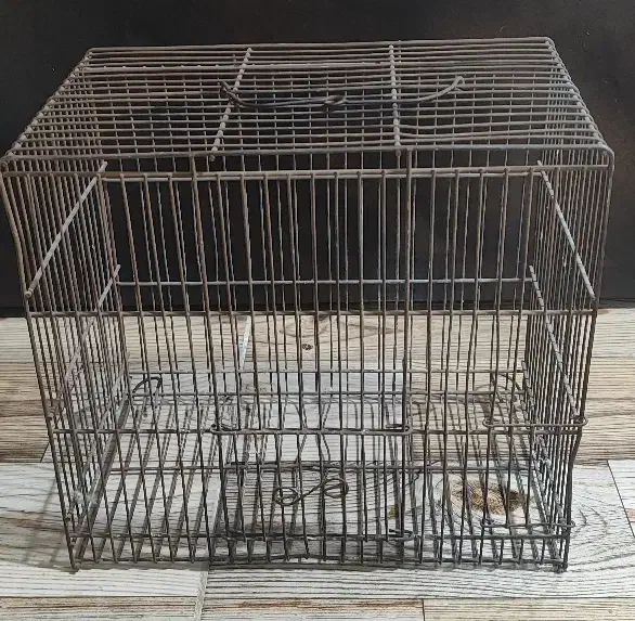 قفس|لوازم جانبی حیوانات|تهران, شهید رجایی|دیوار