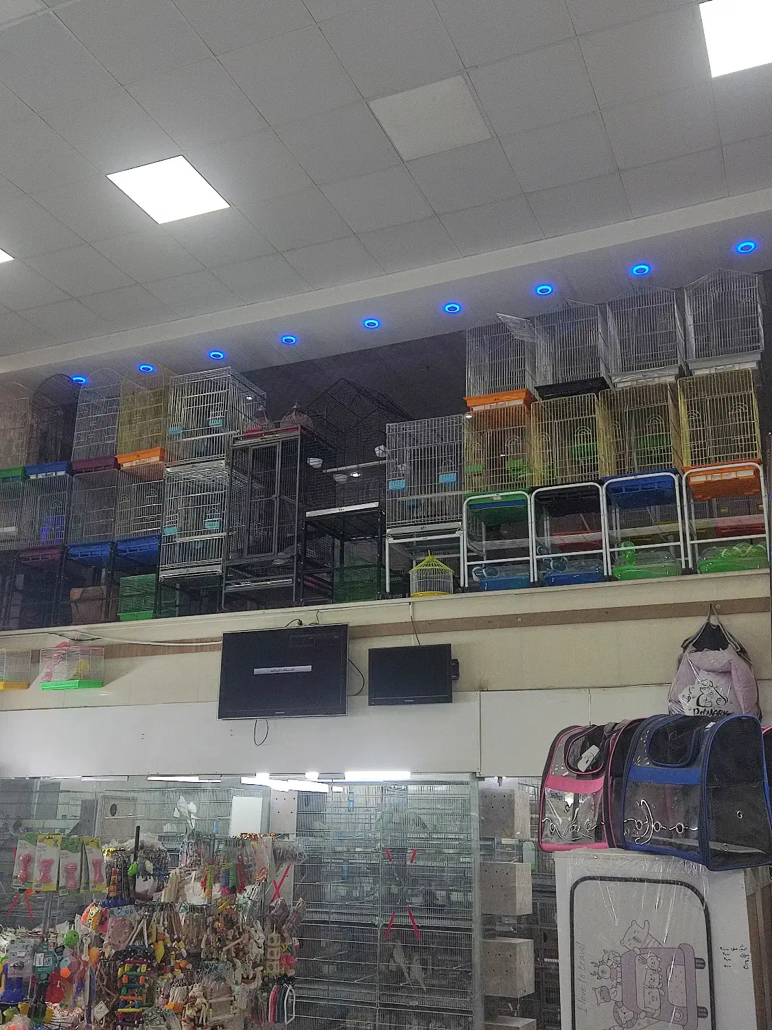 بزرگترین پت شاپ و قصر پرنده در سمنان|پرنده|سمنان, |دیوار