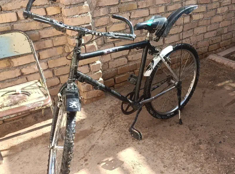 دوچرخه دماوند|دوچرخه، اسکیت، اسکوتر|تربت جام, جامی|دیوار