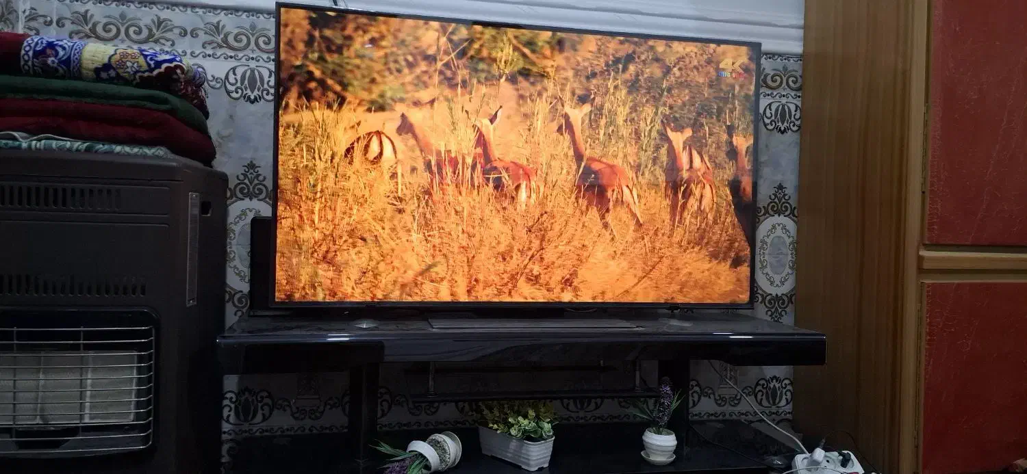 تلویزیون ال جی QNED86 سایز ۵۵ اینچ Ultra 2024|تلویزیون و پروژکتور|سراوان, |دیوار