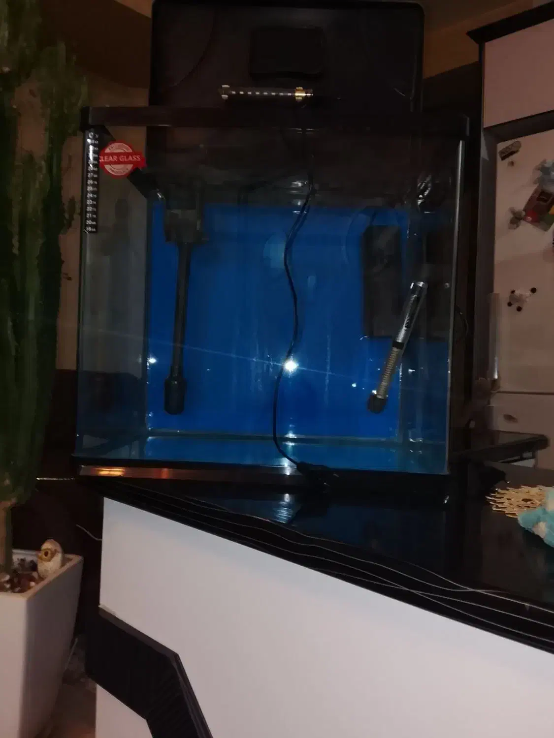 آکواریوم|ماهیگیری|سهند, |دیوار