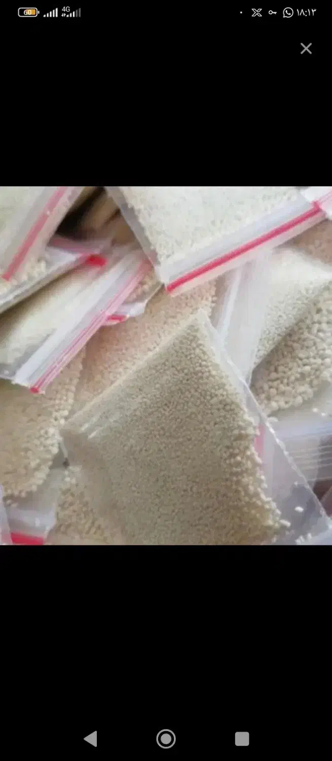 پودر شپش|آرایشی، بهداشتی، درمانی|ریگان, |دیوار