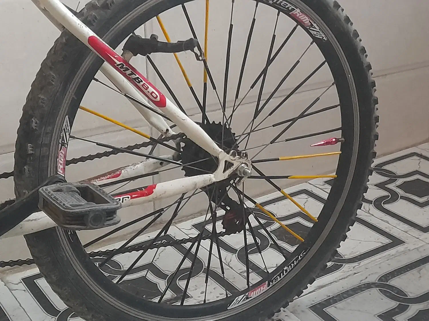 دچرخه ۲۶|دوچرخه، اسکیت، اسکوتر|اهواز, منبع اب|دیوار