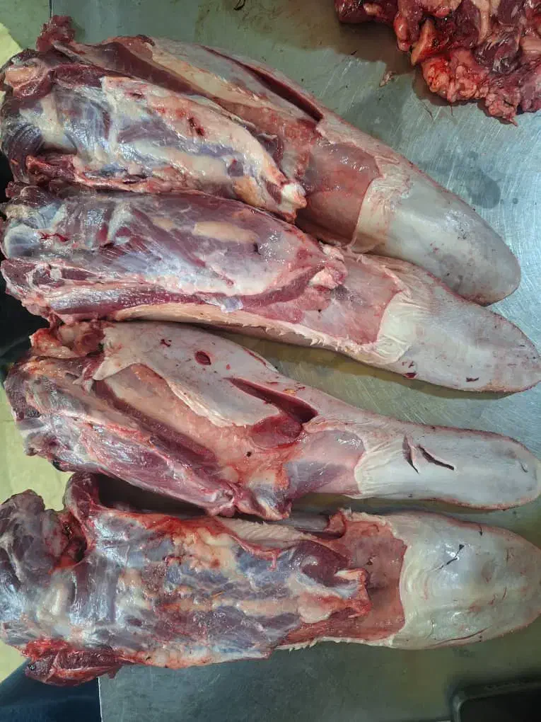گوشت صورت کله زبان مغز گوساله|خوردنی و آشامیدنی|تهران, بوستان ولایت|دیوار