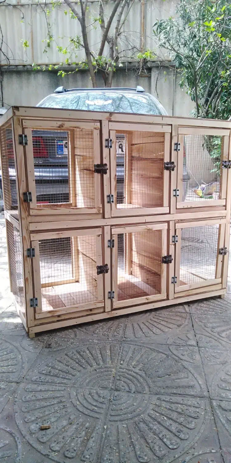 ساخت قفس چوبی|لوازم جانبی حیوانات|کرمانشاه, |دیوار