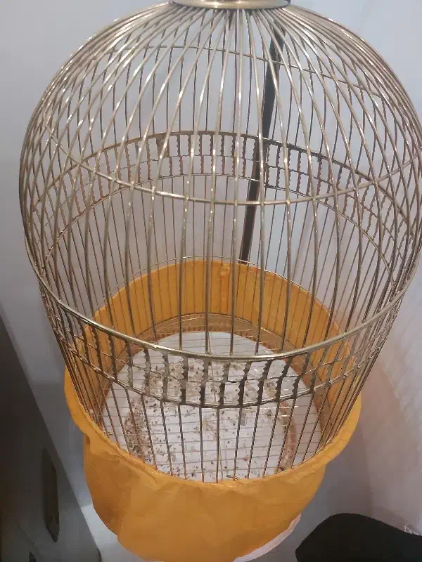 قفس|لوازم جانبی حیوانات|یزد, |دیوار