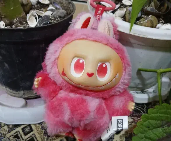 لبوبو صورتی|اسباب‌بازی بچه|اندیمشک, |دیوار