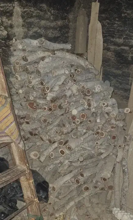 هیزم پسته|عمده‌فروشی|اردکان, |دیوار