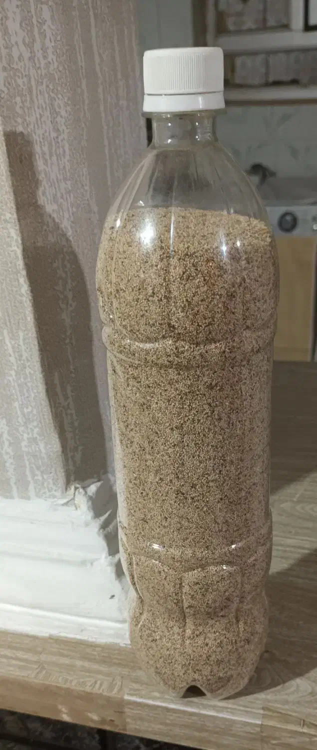 گوجی|خوردنی و آشامیدنی|کوهدشت, |دیوار