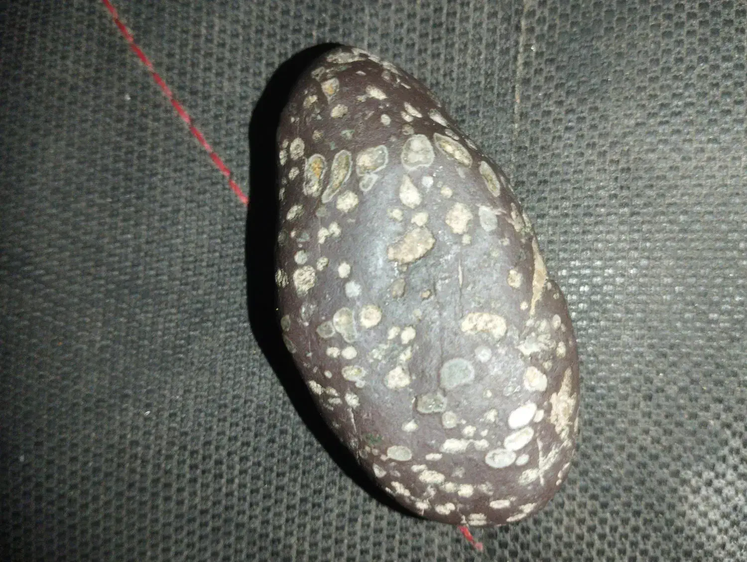 شهاب سنگ|کلکسیون اشیاء عتیقه|بجنورد, |دیوار