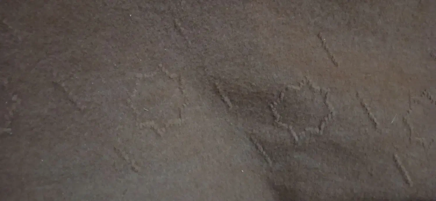 موکت وگلدان و سینک و طاووس تزئینی|موکت|زاهدان, |دیوار