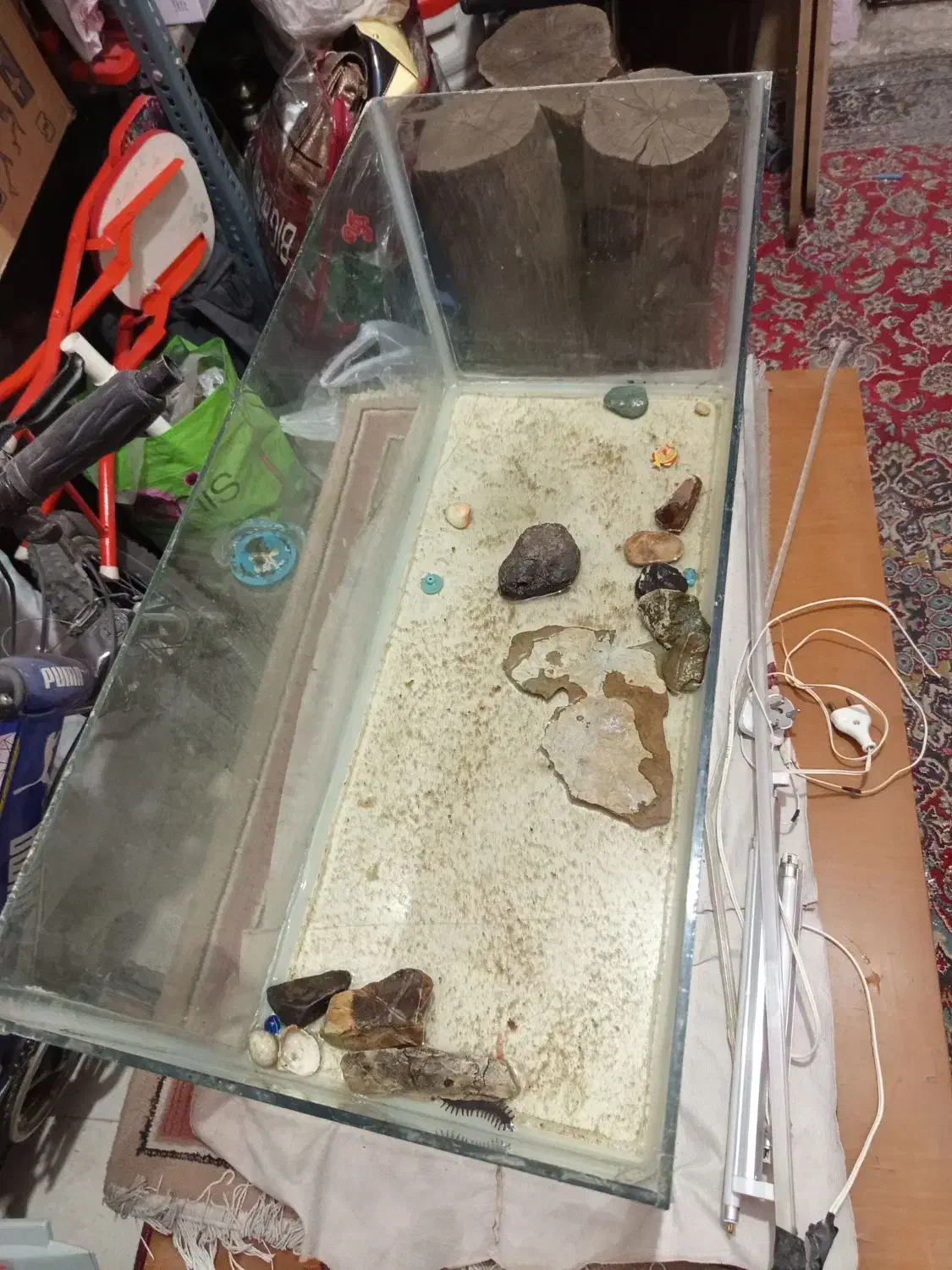 آکواریوم|ماهی|پردیس, فاز ۲|دیوار