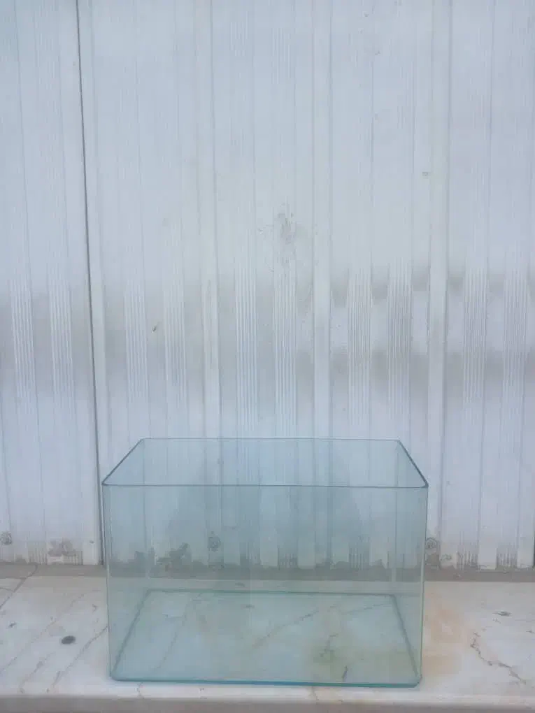 آکواریوم ماهی|ماهی|ری, تقی آباد|دیوار