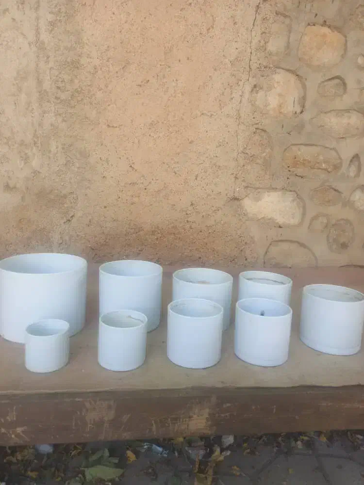 گلدون سرامیکی|گل و گیاه طبیعی|شیراز, جوادیه|دیوار