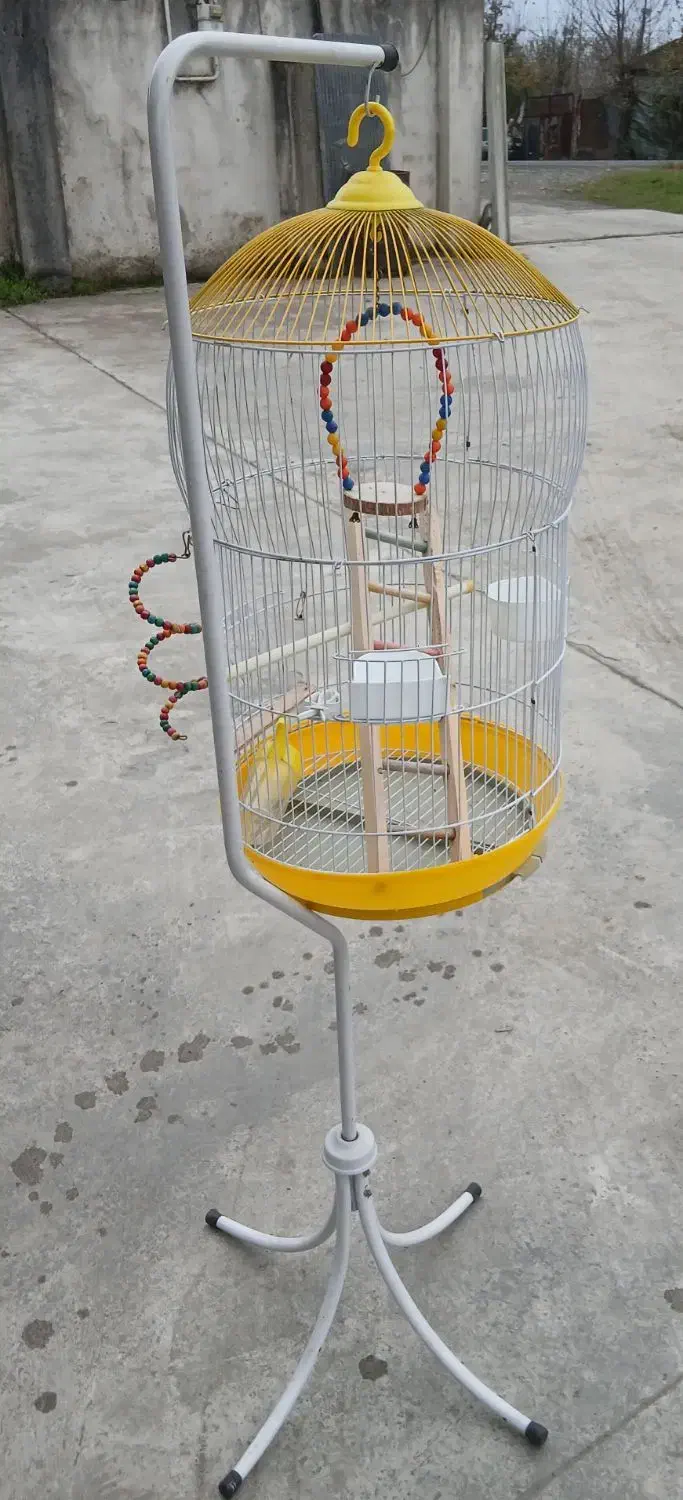 قفس پرنده|لوازم جانبی حیوانات|شفت, |دیوار