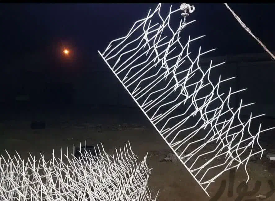 شاخ گوزنی|عمده‌فروشی|اردبیل, |دیوار