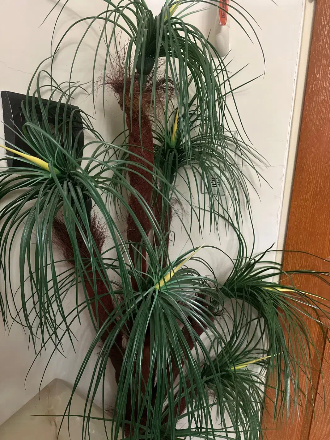 درختچه مصنوعی|گل مصنوعی|تبریز, |دیوار