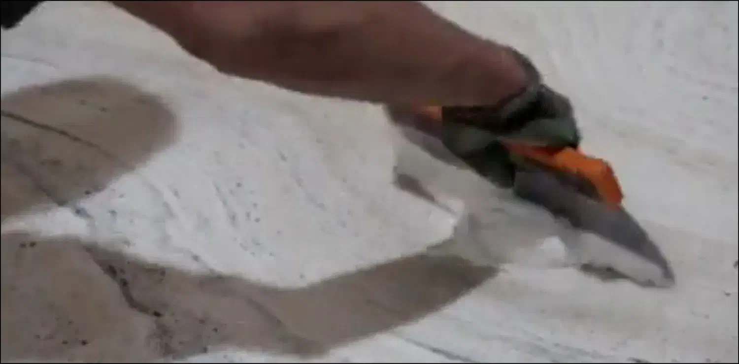 کفسابی ساختمان|خدمات پیشه و مهارت|رشت, حاجی آباد|دیوار