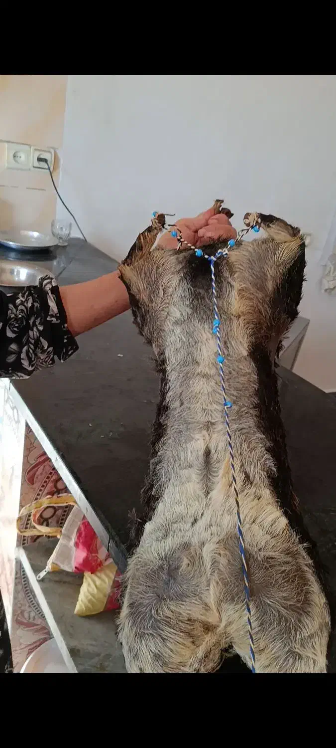 هیزه پوست بزغاله|صنایع دستی و سایر لوازم تزئینی|هندمینی, |دیوار