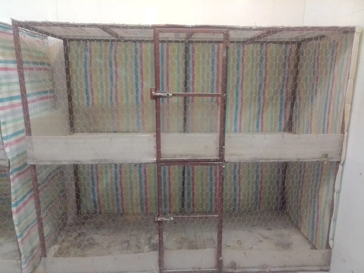 قفسه مرغ و خروس|حیوانات مزرعه|باسمنج, |دیوار