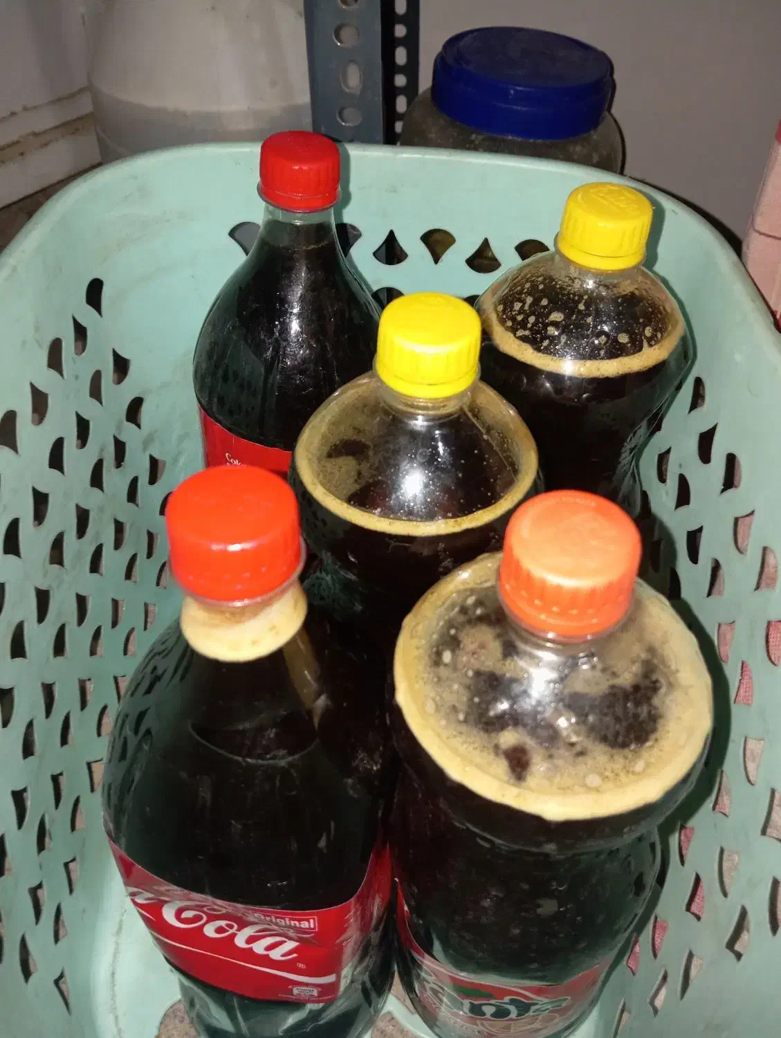 شیره انگور|خوردنی و آشامیدنی|صائین قلعه, |دیوار