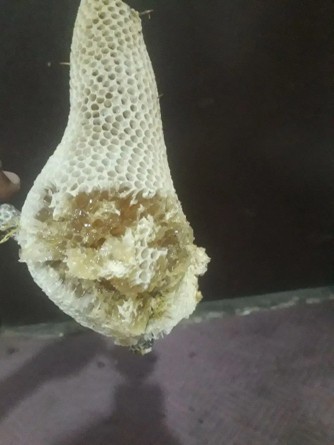 عسل خوب|خوردنی و آشامیدنی|کیش, |دیوار