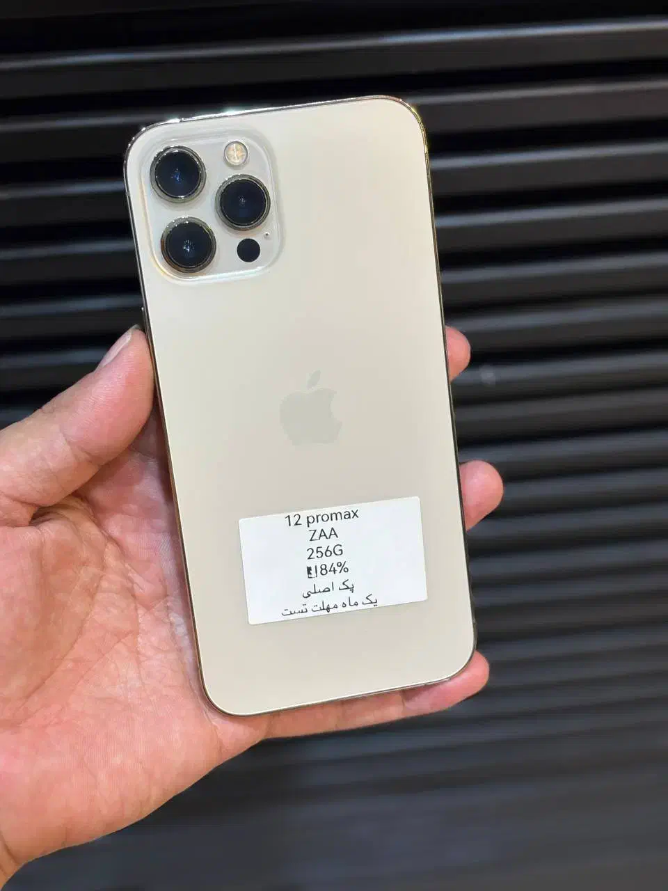 ۱۲ پرومکس با بهترین شرایط فروش|موبایل|مشهد, بهشت|دیوار