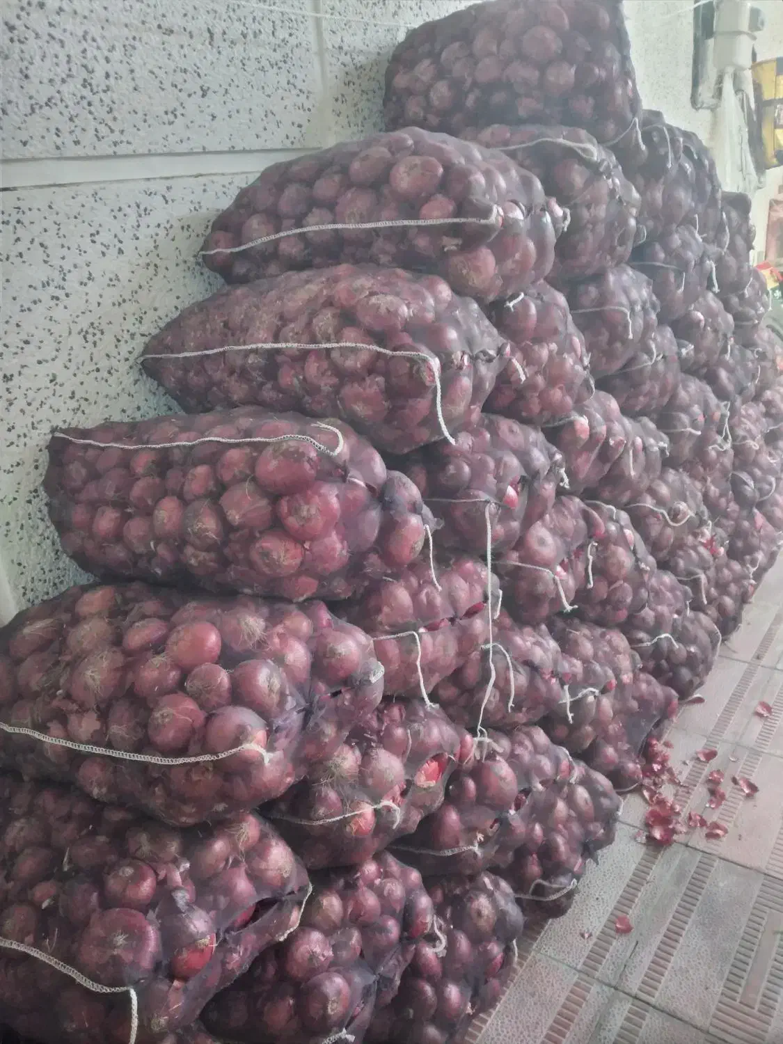 پیاز قرمز درجه ۱|عمده‌فروشی|هشترود, |دیوار