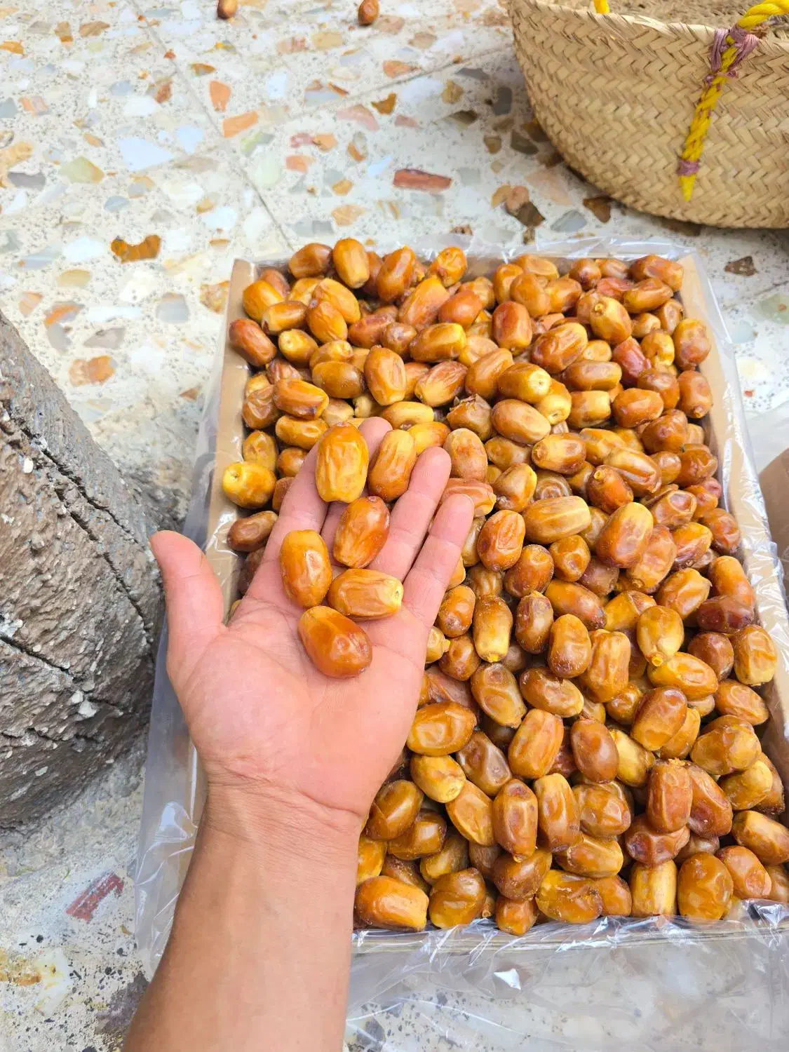 قصب زاهدی|خوردنی و آشامیدنی|بوشکان, |دیوار