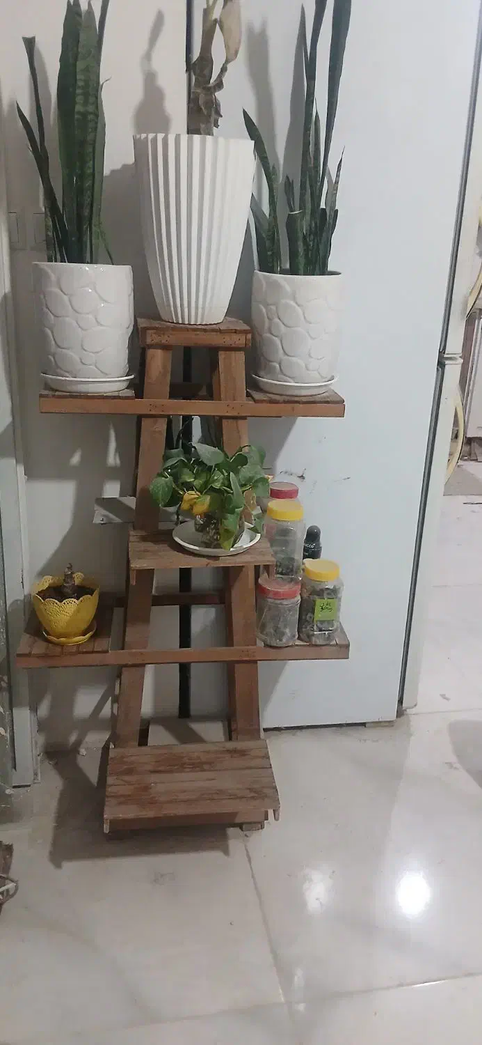 پایه گلدان|گل و گیاه طبیعی|مشهد, عبادی|دیوار