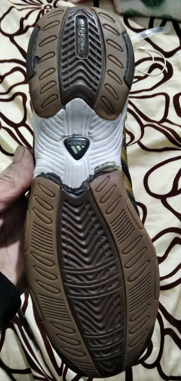 کفش سالنی حرفه ای|کیف، کفش، کمربند|شاهینشهر, عطار|دیوار