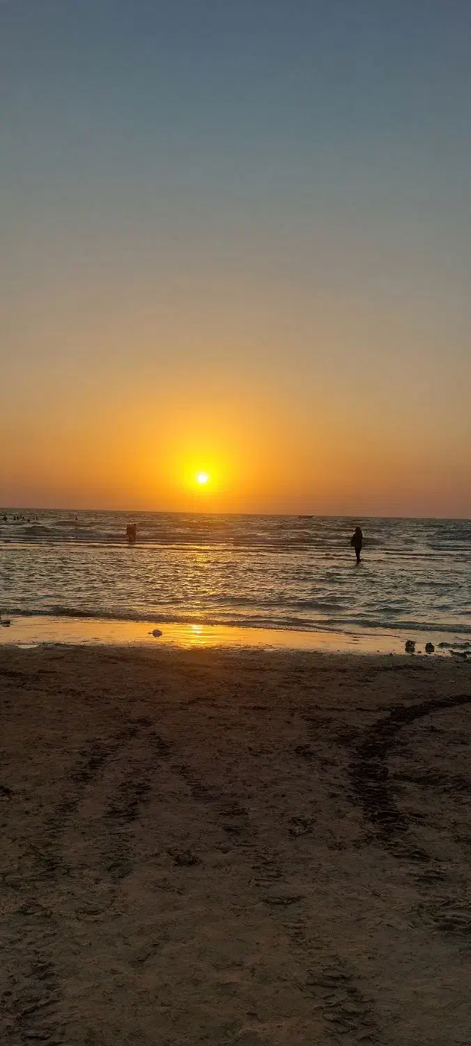 استخدام . خانم مسلط به فتوشاپ|استخدام رایانه و فناوری اطلاعات|دوگنبدان, |دیوار