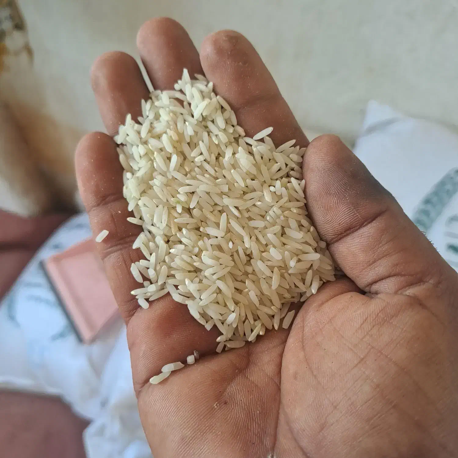 برنج طارم دومسیا ه|خوردنی و آشامیدنی|سیمین شهر, |دیوار