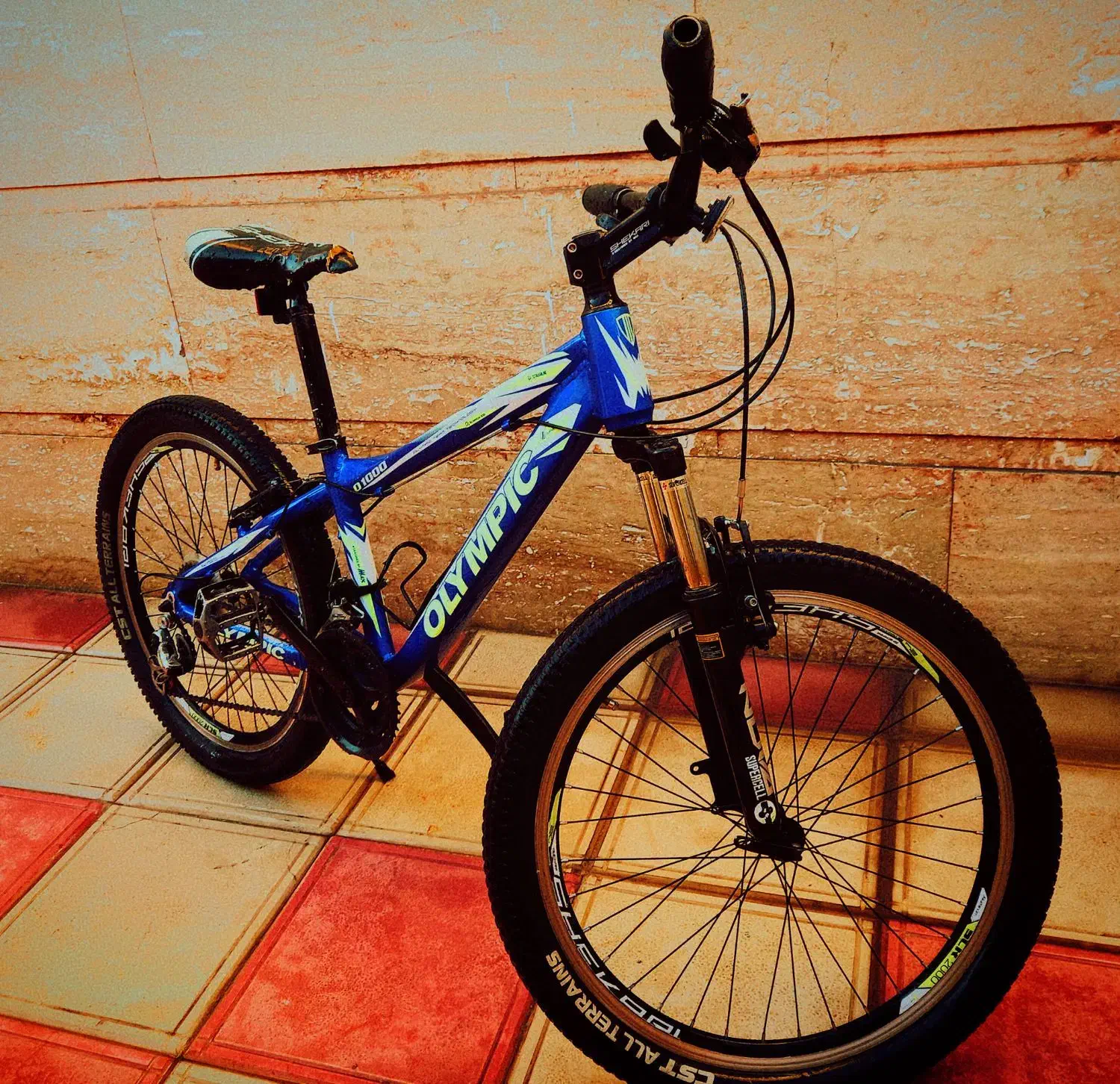 دوچرخه ۲۴|دوچرخه، اسکیت، اسکوتر|آشخانه, |دیوار