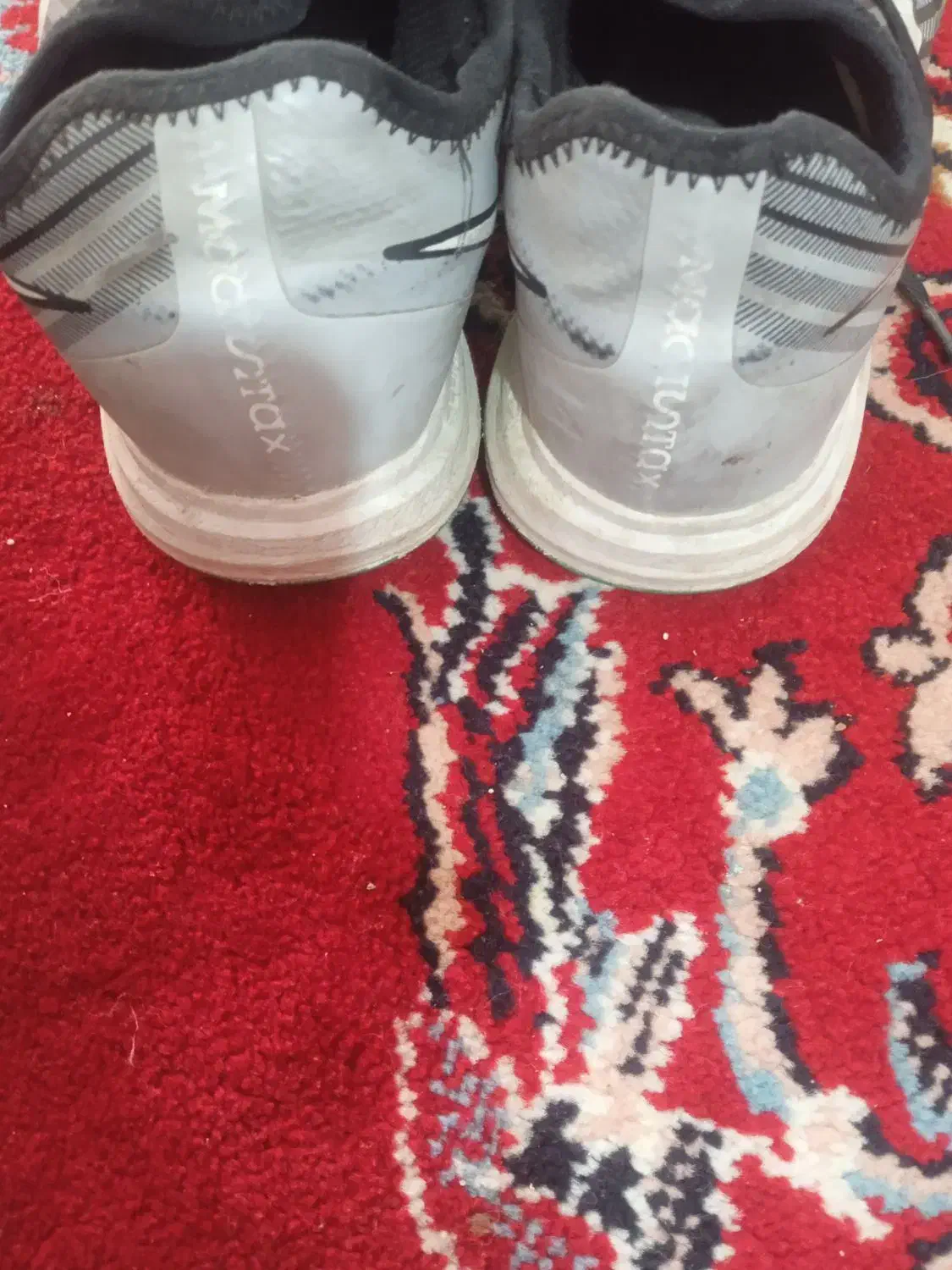 کفش سالنی نایک مجسیتا ایکس|تجهیزات ورزشی|یاسوج, |دیوار