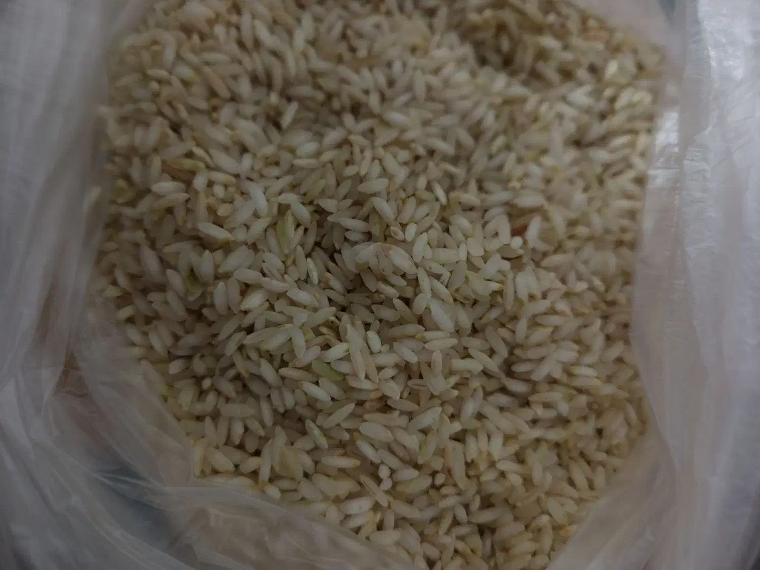 برنج ایرانی|خوردنی و آشامیدنی|هرسین, |دیوار