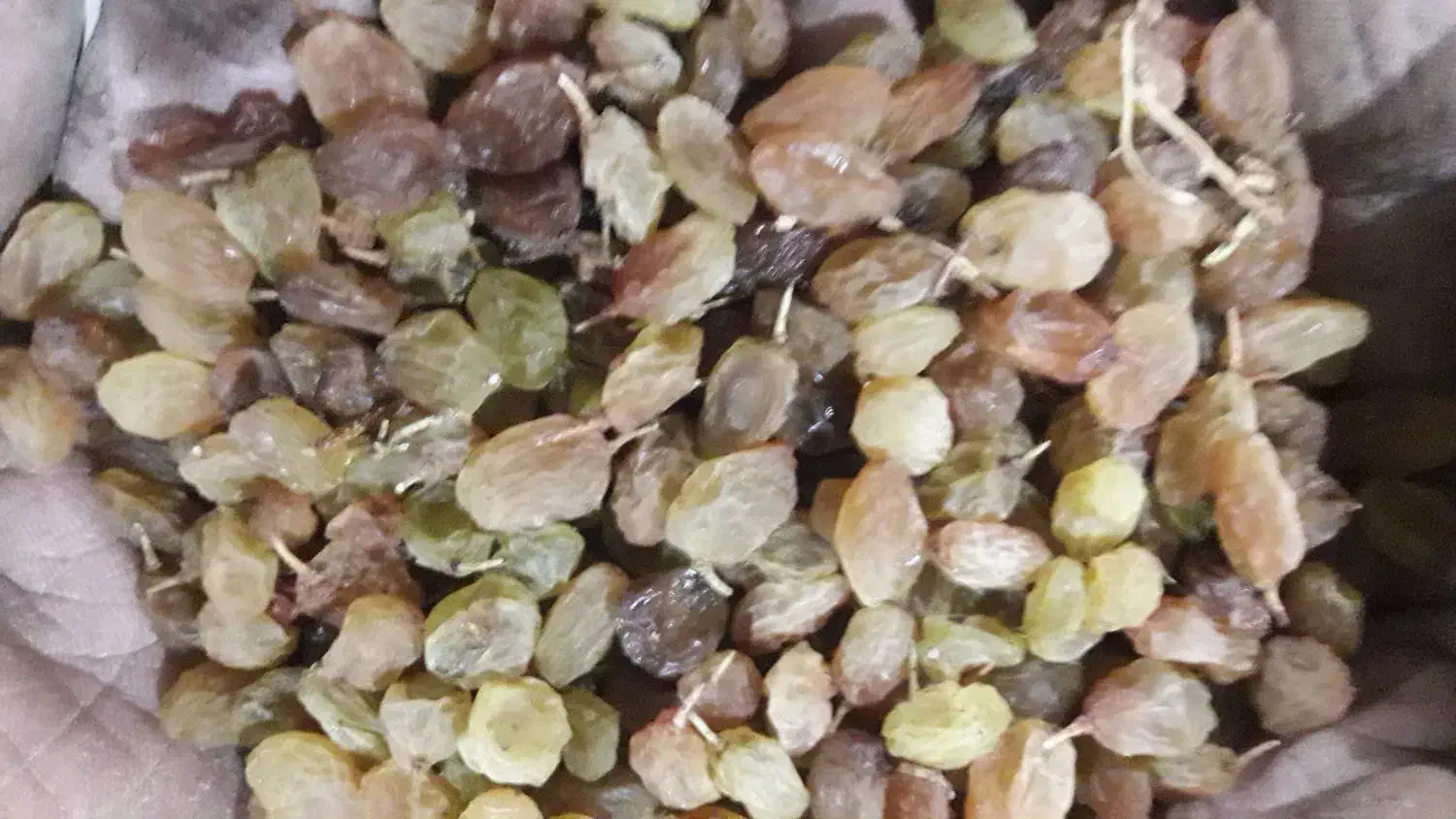 فروش کشمش تیزابی|خوردنی و آشامیدنی|نهاوند, |دیوار