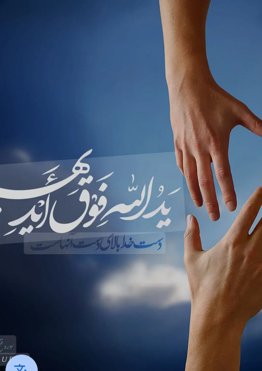 گمشده|اشیا|تهران, شهرک ولیعصر شمالی|دیوار