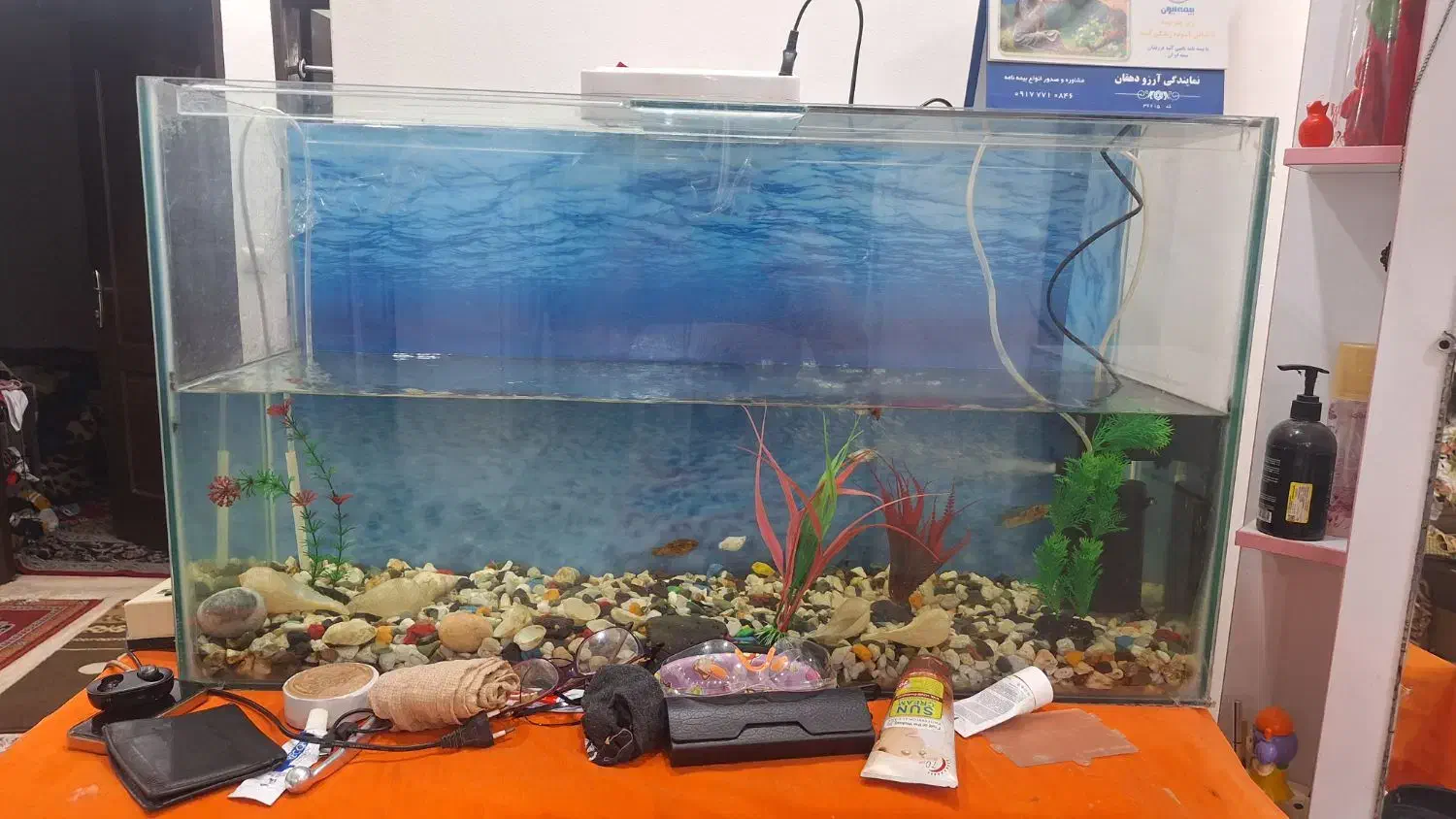 آکواریم بزرگ شیشه ای|ماهی|بوشهر, |دیوار
