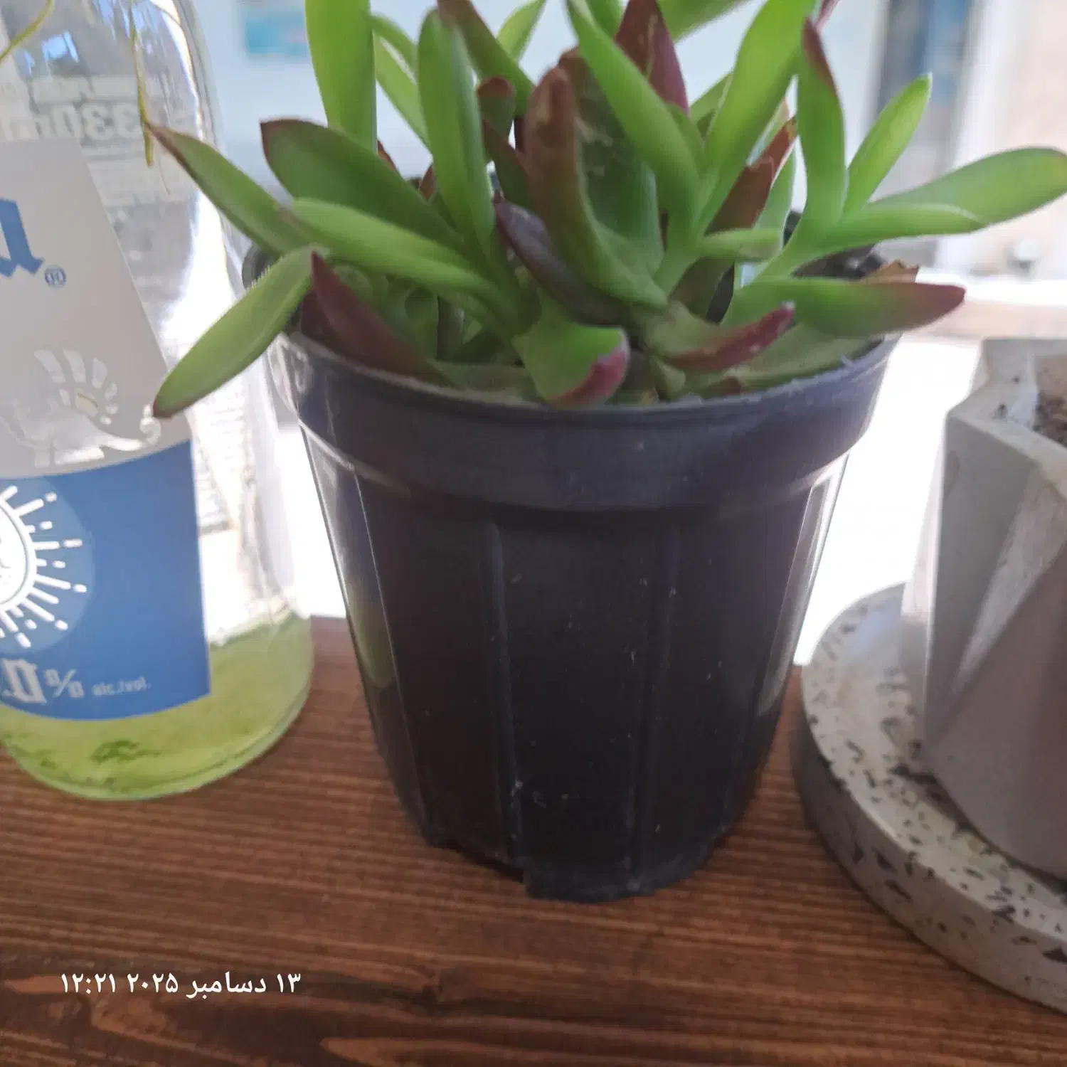 نیروی تیکه کردن مرغ|استخدام خدمات فروشگاه و رستوران|امیدیه, |دیوار