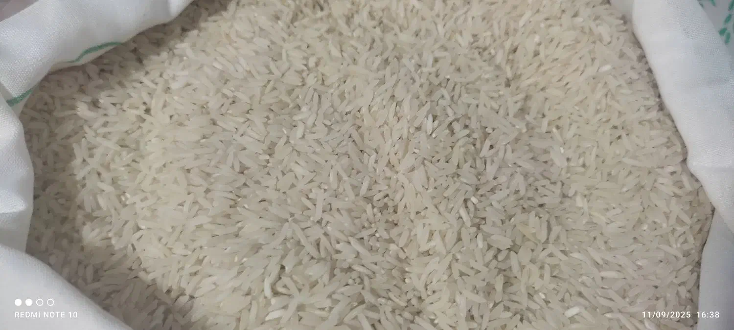 برنج صدری خوشپخت|خوردنی و آشامیدنی|مشکیندشت, |دیوار