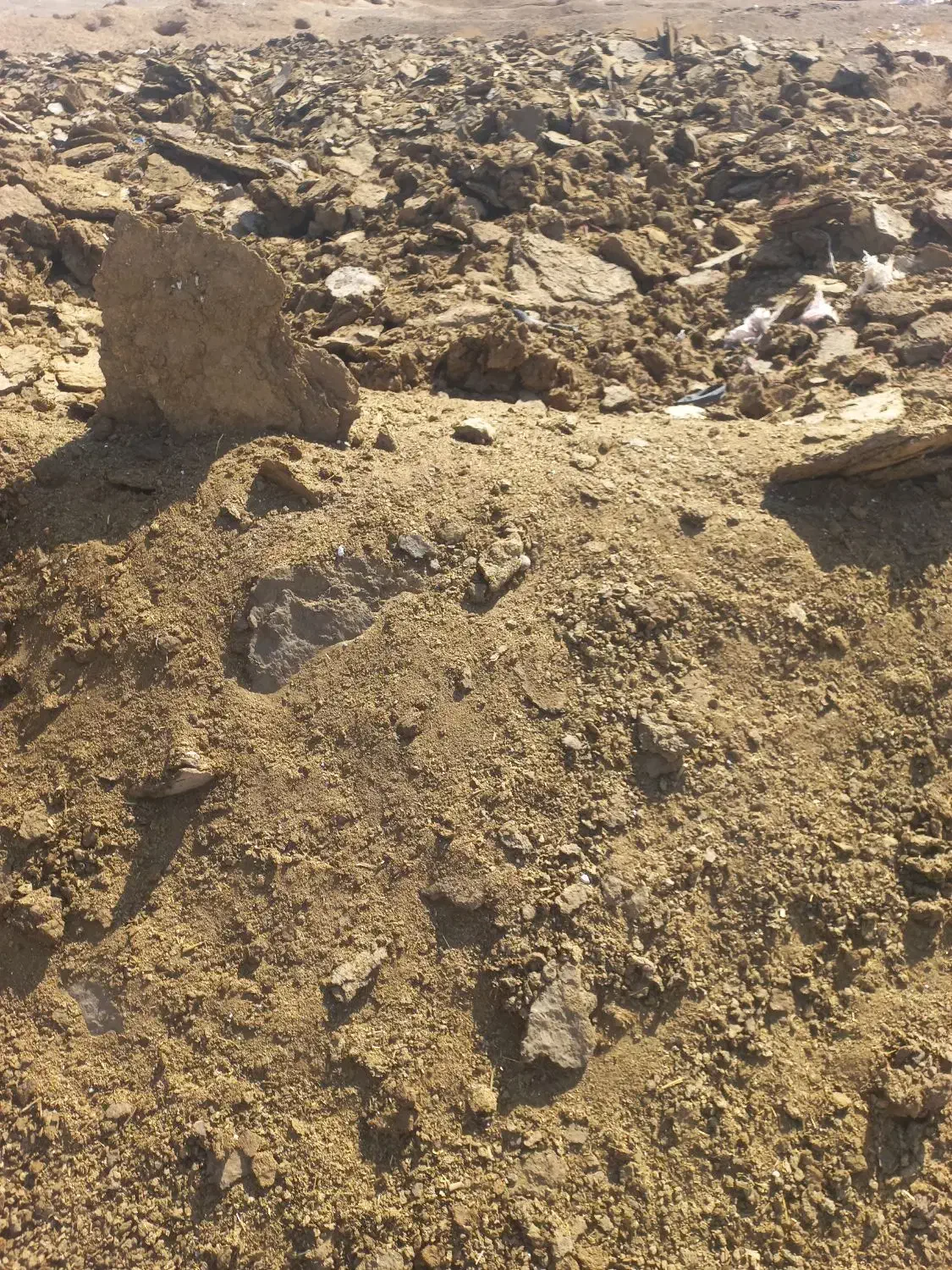 کود گوسفندی درجه یک|خدمات باغبانی و درختکاری|جرقویه, |دیوار