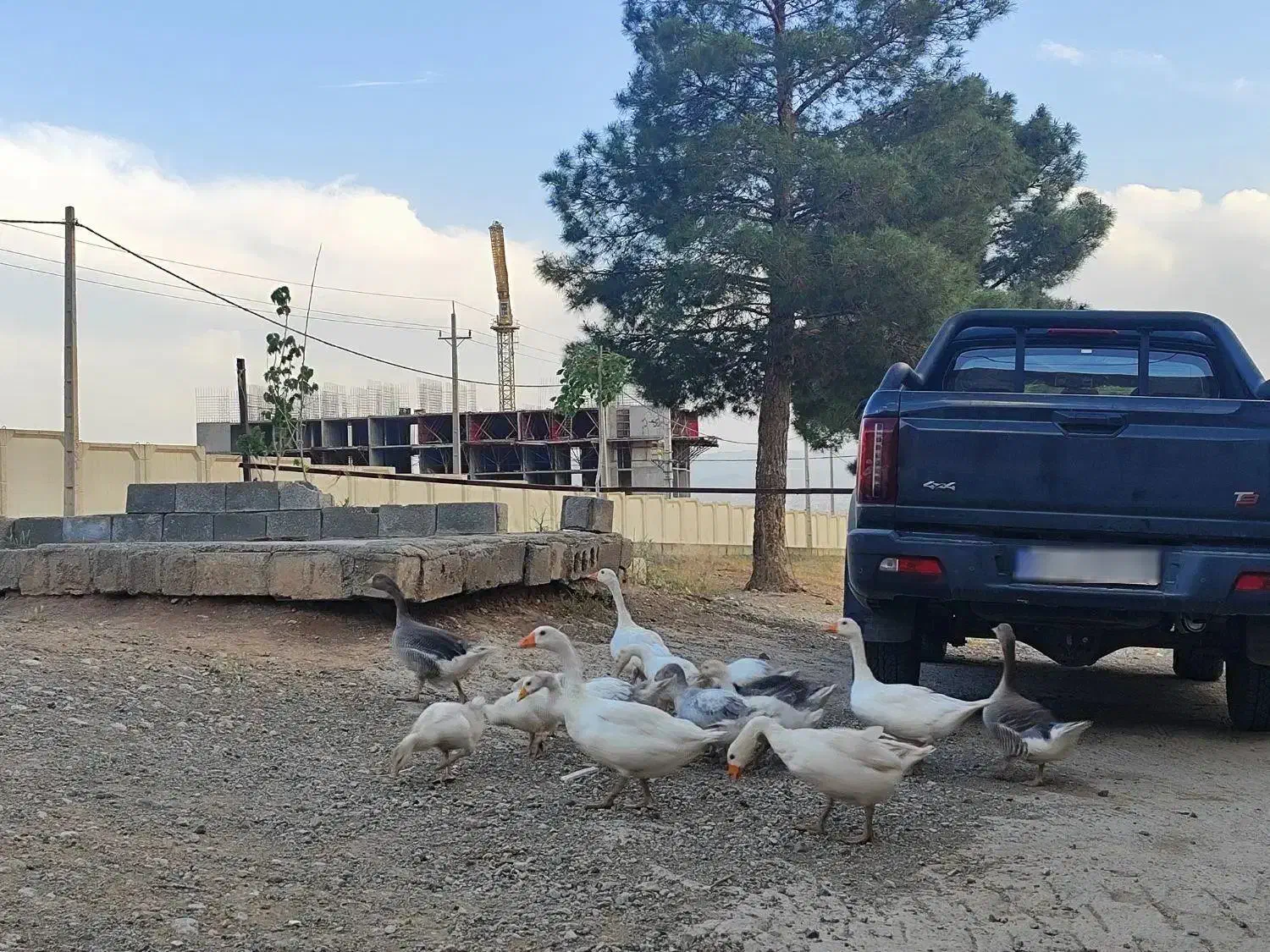 kmct9|خودرو سواری و وانت|تهران, فردوسی|دیوار