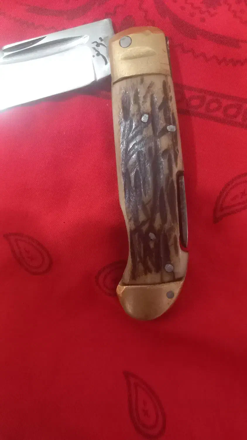 چاقو دسته شاخ تاشو|کوهنوردی و کمپینگ|گرگان, |دیوار