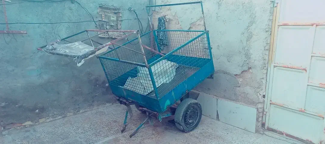 بودی سه چرخه|دوچرخه، اسکیت، اسکوتر|کارون, |دیوار