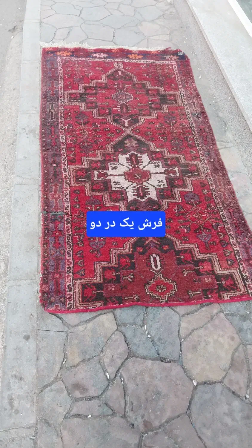 فرش کهنه|فرش|زنجان, |دیوار