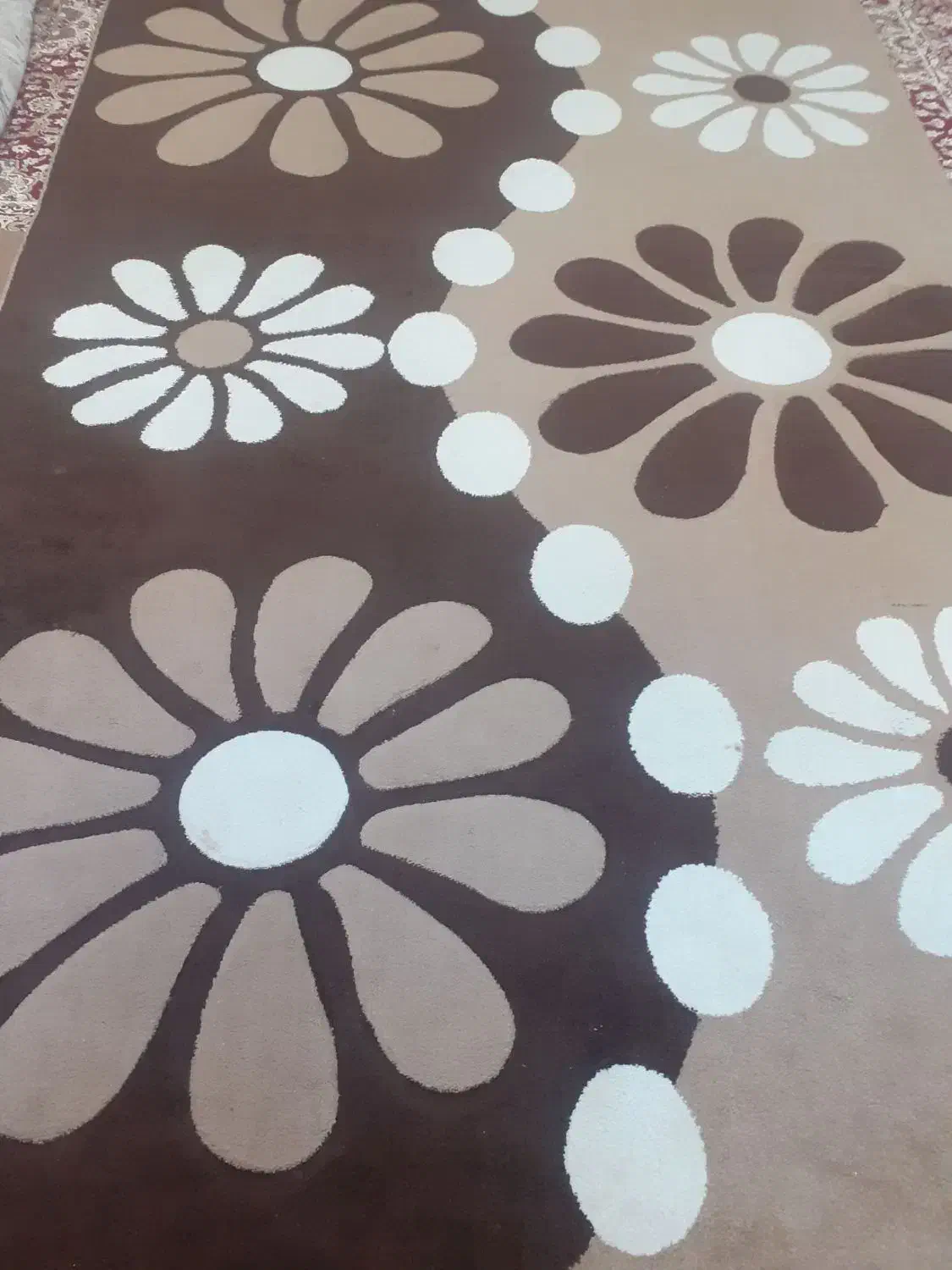 گلیم|گلیم، جاجیم، گبه|بجنورد, |دیوار