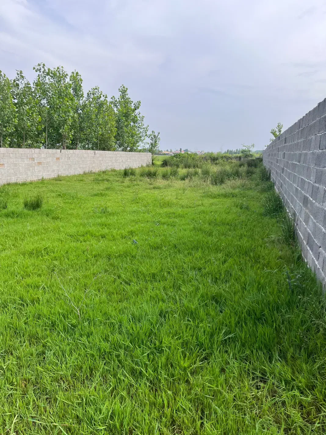 کارشناس فروش برای زمین|استخدام بازاریابی و فروش|رشت, کوی حسینی|دیوار