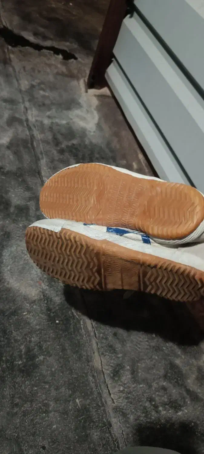 کفش سالنی تایگر|کیف، کفش، کمربند|سردشت, |دیوار